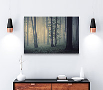 Obraz Ranná hmla v lese zs1218